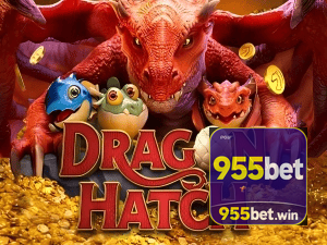 955BET PIX instantâneo Brasil - Depósito e saque em minutos 24/7